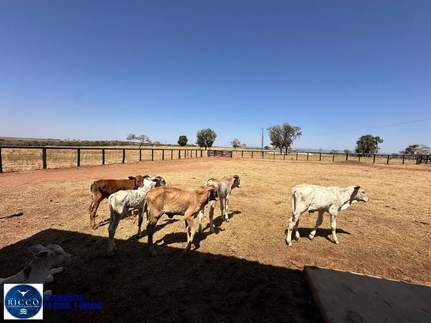 Foto 6 de Fazenda / Haras à venda, 120m2 em Bom Jardim De Goias - GO