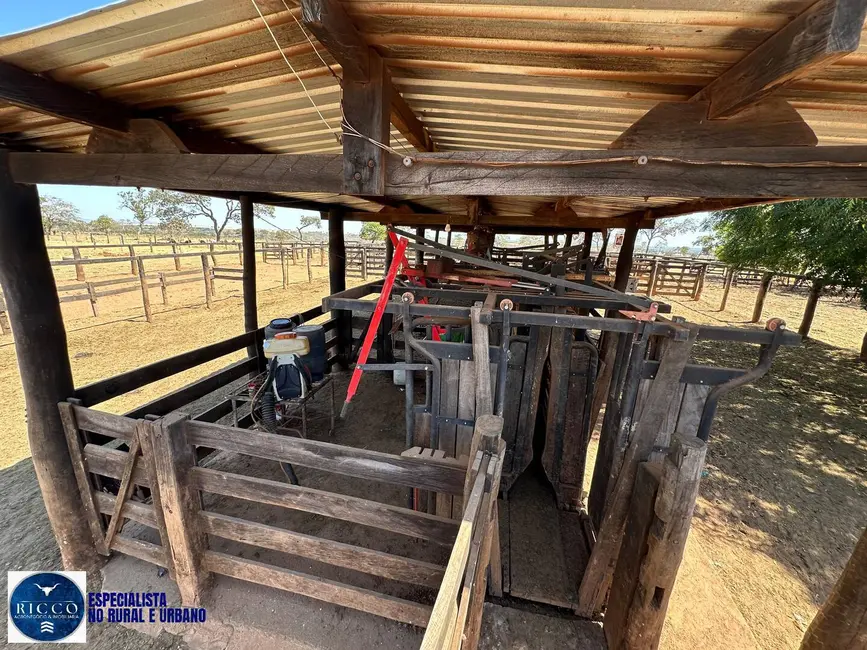 Foto 2 de Fazenda / Haras à venda, 120m2 em Bom Jardim De Goias - GO