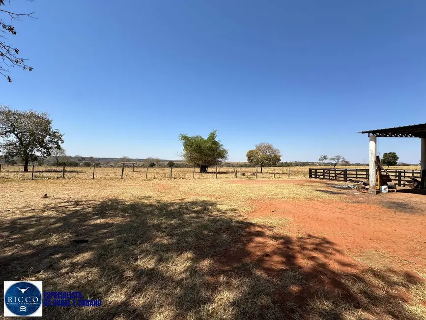 Foto 7 de Fazenda / Haras à venda, 120m2 em Bom Jardim De Goias - GO