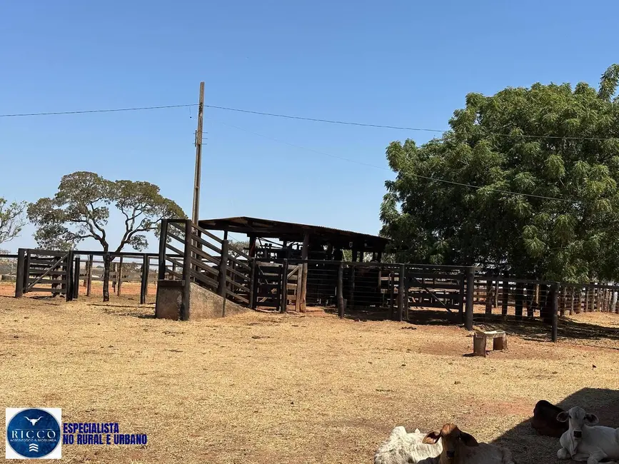 Foto 5 de Fazenda / Haras à venda, 120m2 em Bom Jardim De Goias - GO