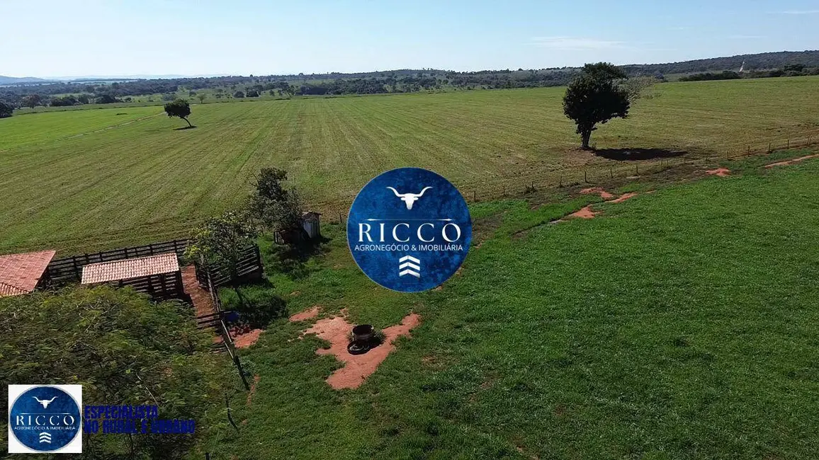 Foto 9 de Fazenda / Haras à venda, 20m2 em Cezarina - GO