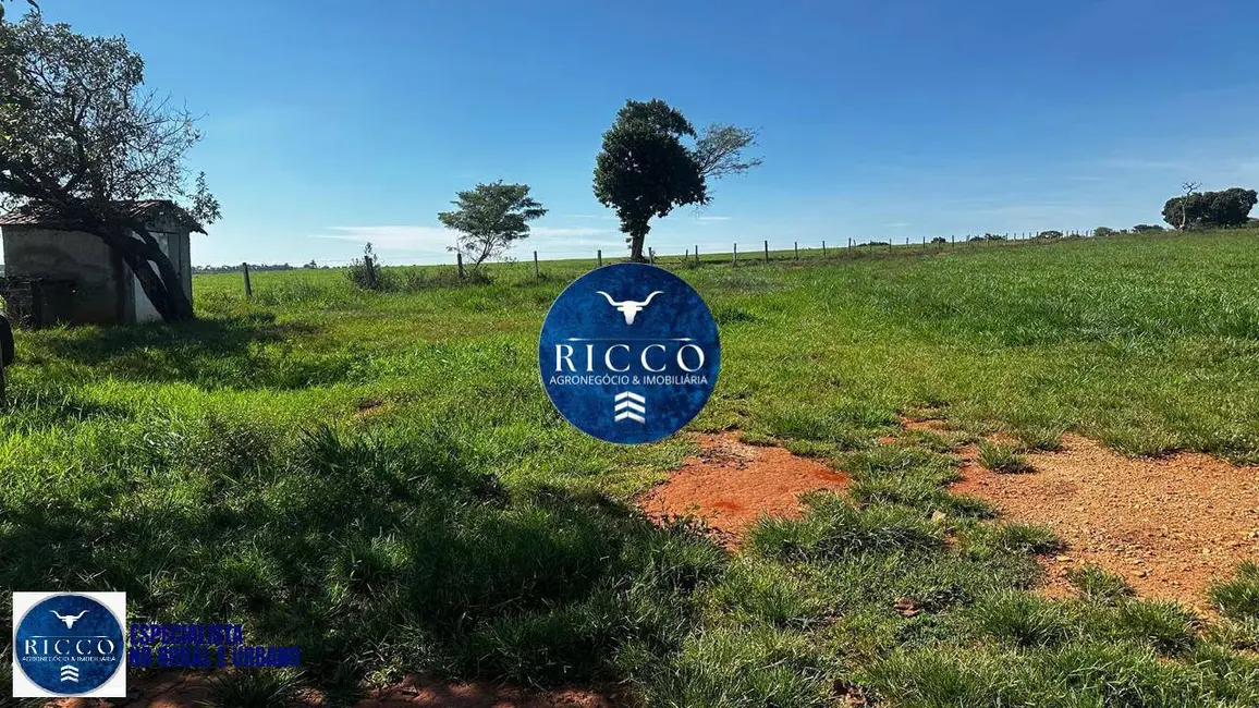 Foto 3 de Fazenda / Haras à venda, 20m2 em Cezarina - GO