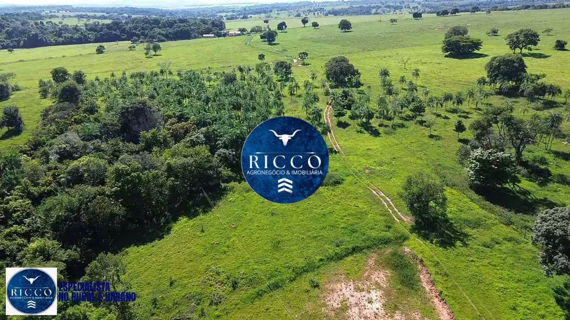 Foto 7 de Fazenda / Haras à venda, 20m2 em Cezarina - GO