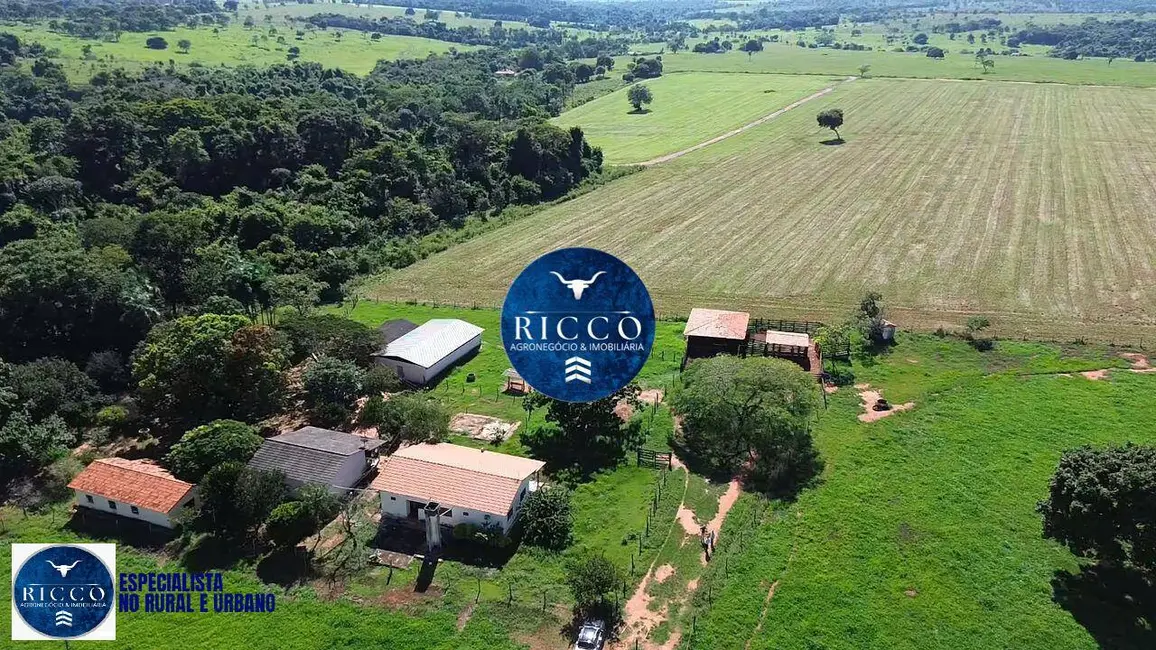 Foto 1 de Fazenda / Haras à venda, 20m2 em Cezarina - GO