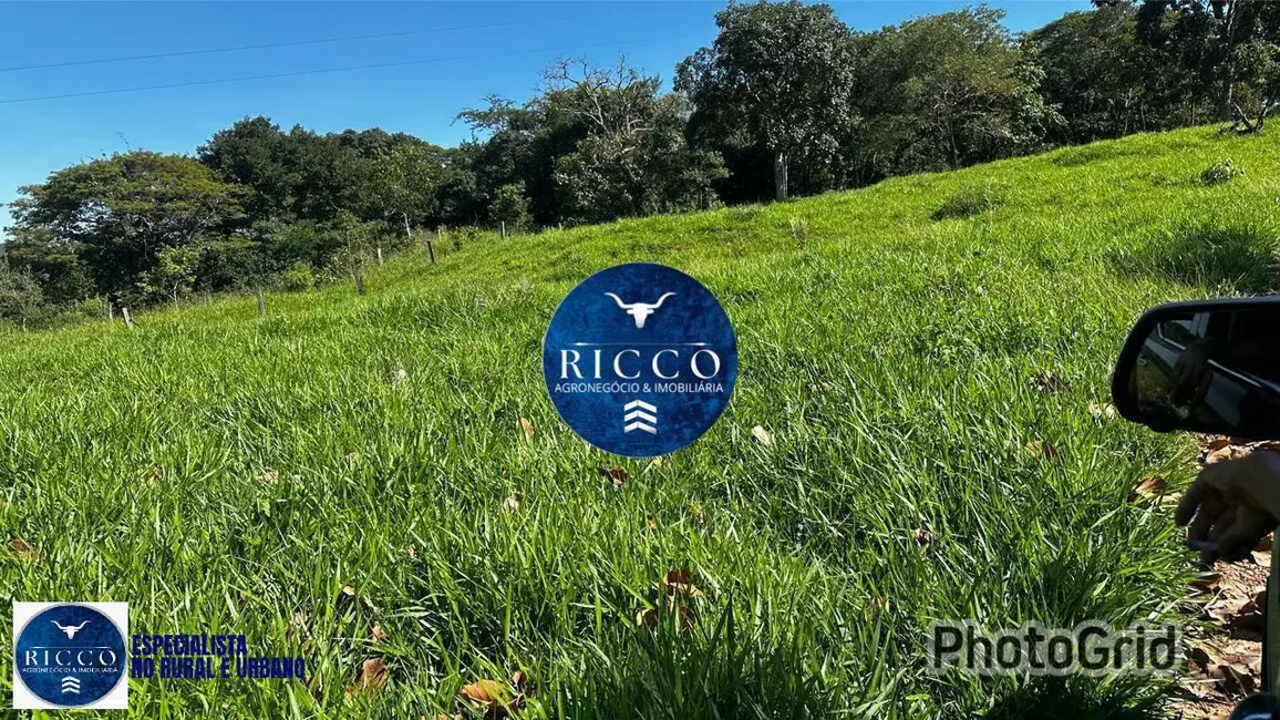 Foto 2 de Fazenda / Haras à venda, 20m2 em Cezarina - GO