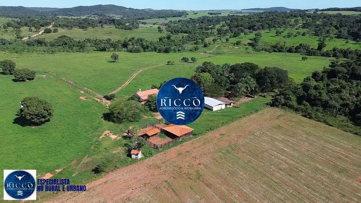 Foto 6 de Fazenda / Haras à venda, 20m2 em Cezarina - GO