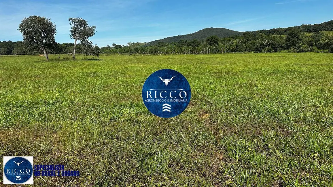 Foto 8 de Fazenda / Haras à venda, 20m2 em Cezarina - GO