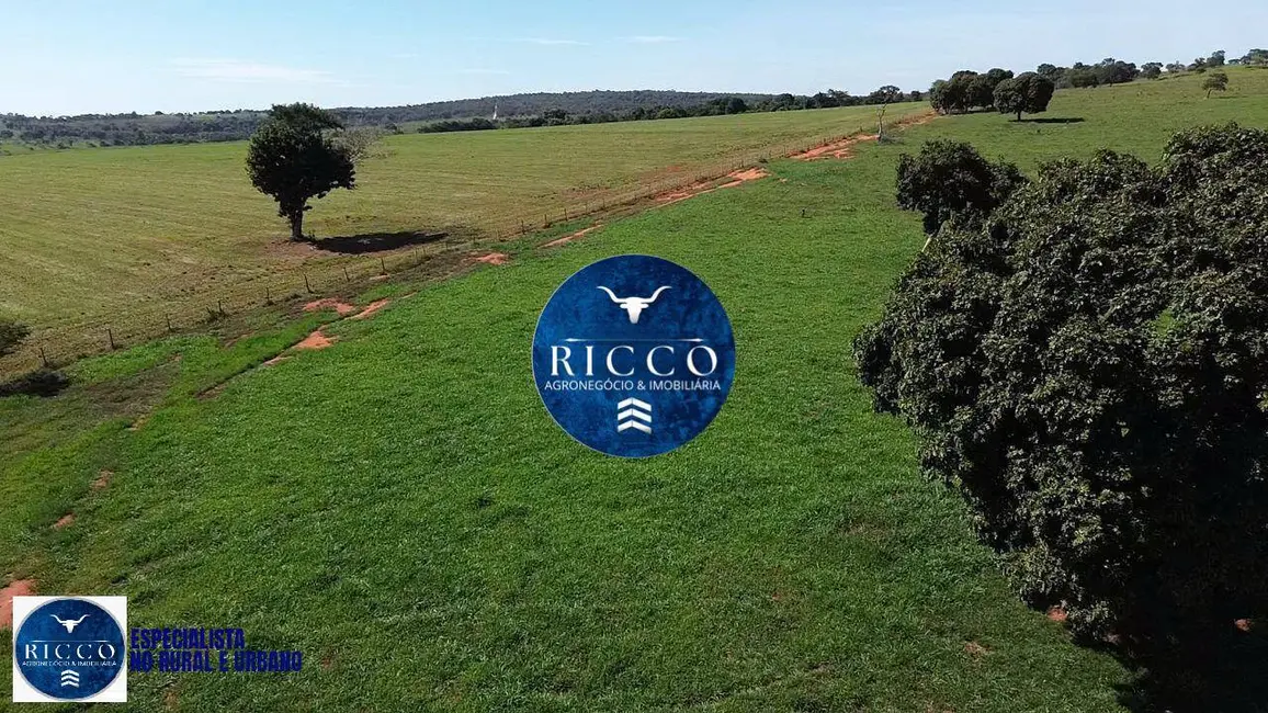 Foto 5 de Fazenda / Haras à venda, 20m2 em Cezarina - GO