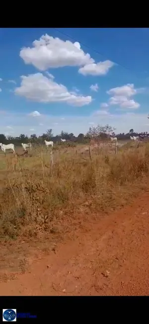 Foto 1 de Fazenda / Haras à venda, 36m2 em Bom Jesus Do Araguaia - MT