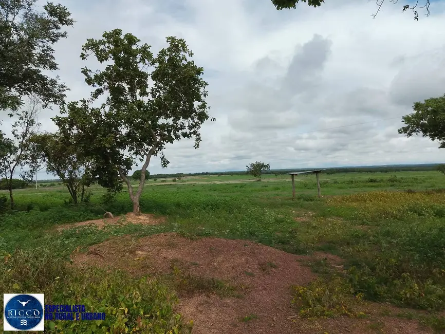 Foto 3 de Fazenda / Haras com 4 quartos à venda, 200m2 em Figueiropolis - TO