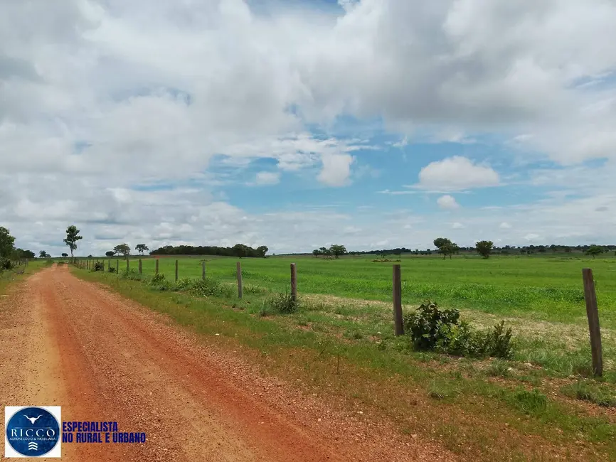 Foto 2 de Fazenda / Haras com 4 quartos à venda, 200m2 em Figueiropolis - TO