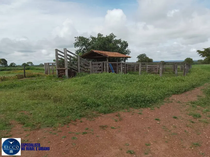 Foto 1 de Fazenda / Haras com 4 quartos à venda, 200m2 em Figueiropolis - TO