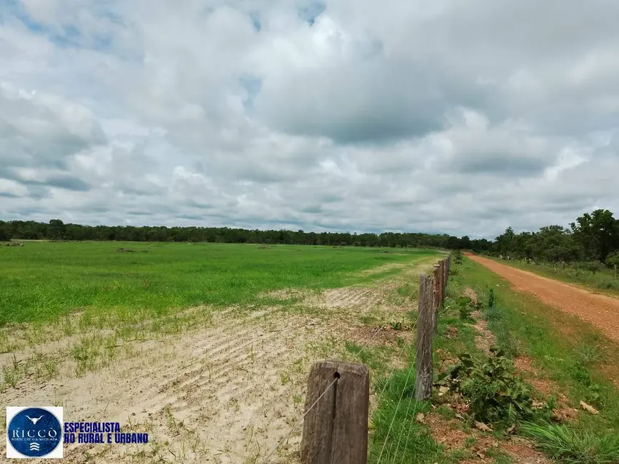 Foto 4 de Fazenda / Haras com 4 quartos à venda, 200m2 em Figueiropolis - TO