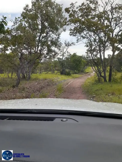 Foto 2 de Fazenda / Haras com 4 quartos à venda, 897m2 em Taipas Do Tocantins - TO