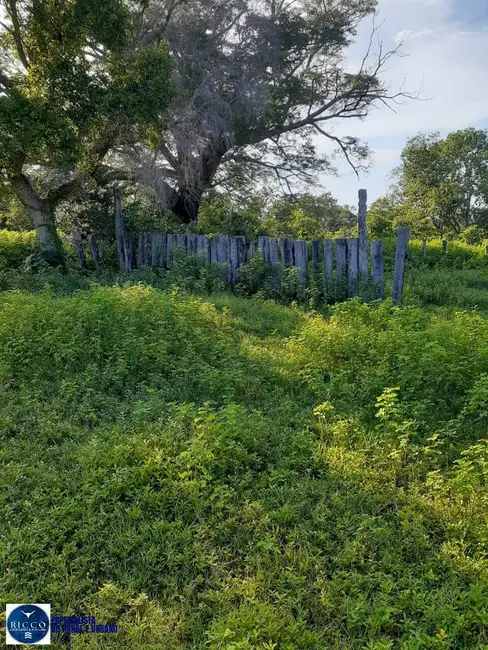Foto 4 de Fazenda / Haras com 4 quartos à venda, 897m2 em Taipas Do Tocantins - TO
