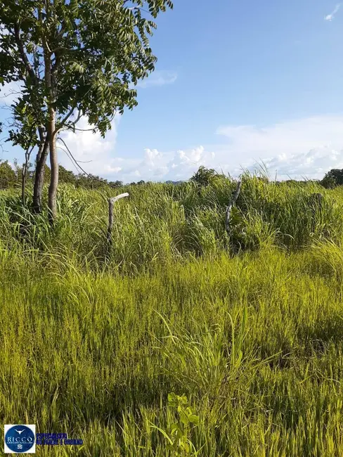 Foto 5 de Fazenda / Haras com 4 quartos à venda, 897m2 em Taipas Do Tocantins - TO