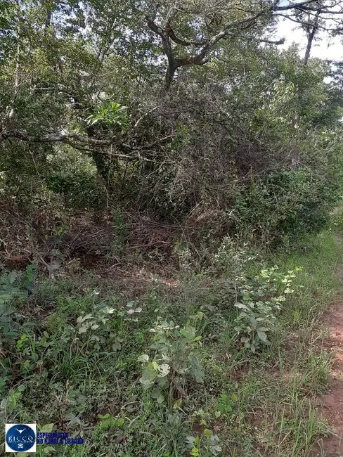 Foto 7 de Fazenda / Haras com 4 quartos à venda, 897m2 em Taipas Do Tocantins - TO