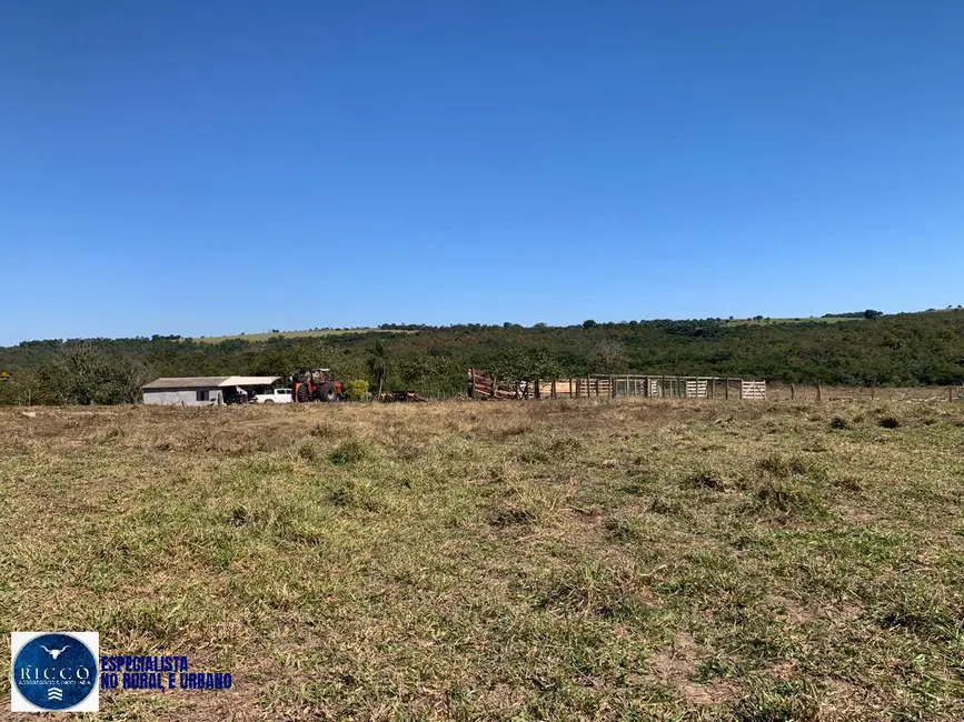 Foto 5 de Fazenda / Haras com 3 quartos à venda, 30m2 em Santa Rita Do Araguaia - GO