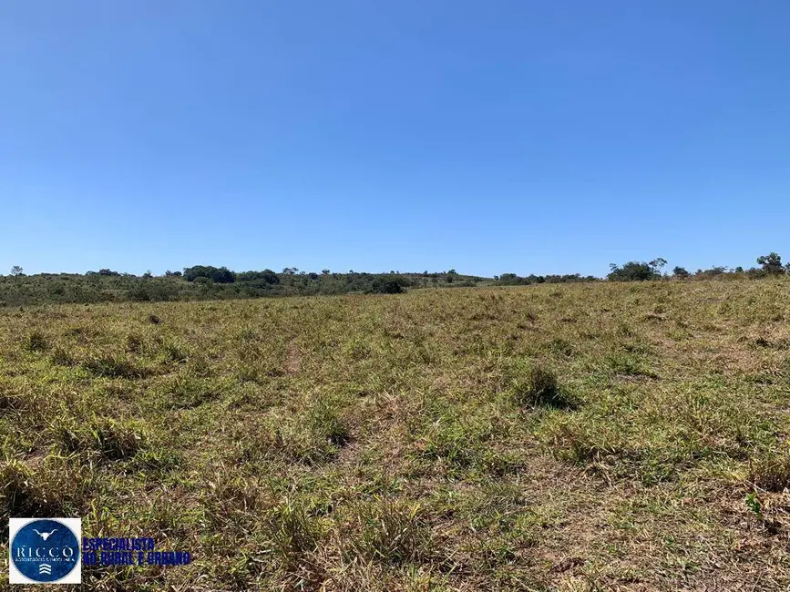 Foto 6 de Fazenda / Haras com 3 quartos à venda, 30m2 em Santa Rita Do Araguaia - GO