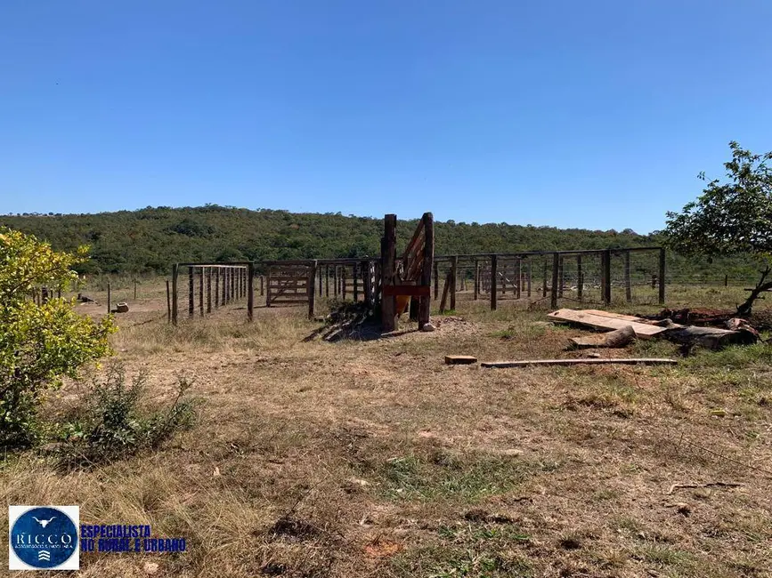 Foto 4 de Fazenda / Haras com 3 quartos à venda, 30m2 em Santa Rita Do Araguaia - GO