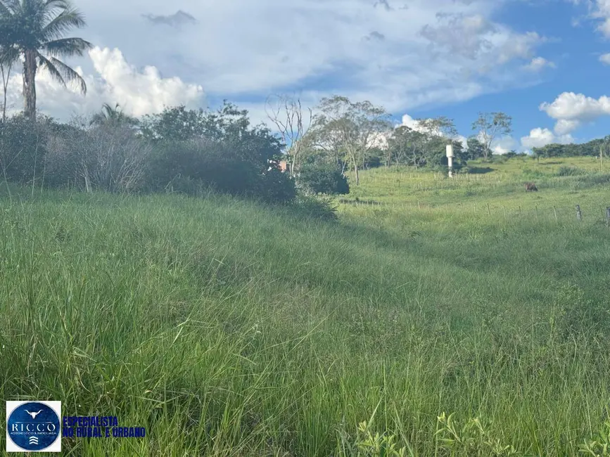 Foto 8 de Chácara com 3 quartos à venda em Neropolis - GO