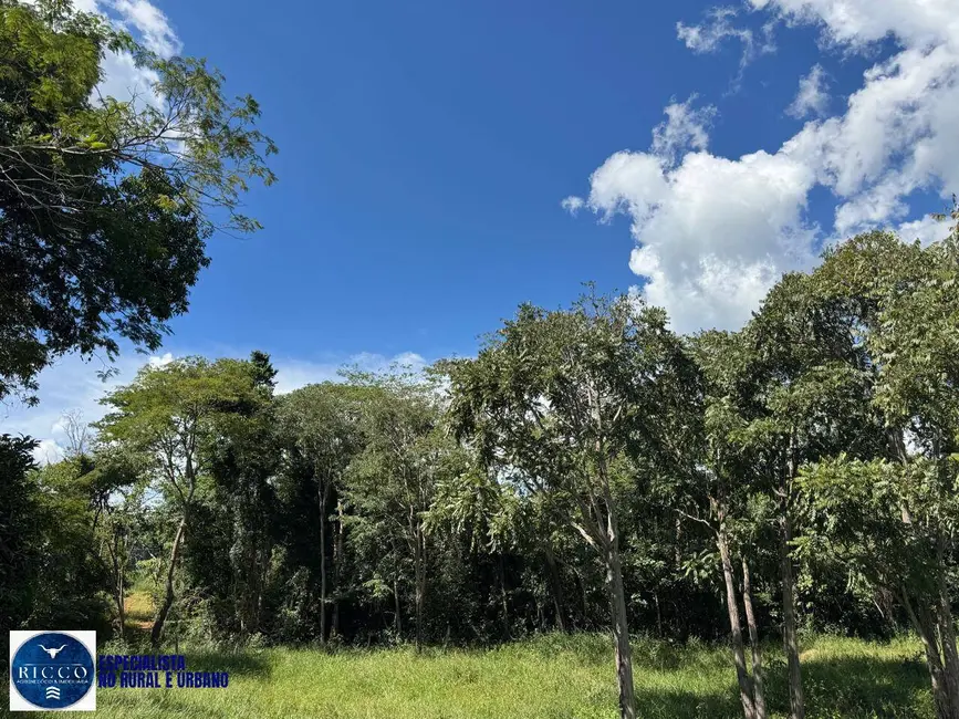 Foto 4 de Chácara com 3 quartos à venda em Neropolis - GO