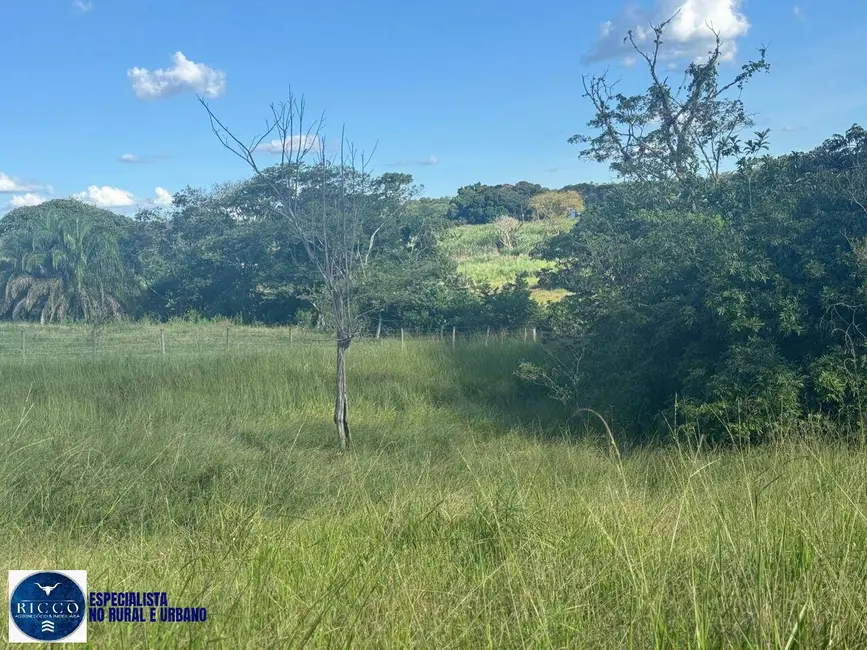 Foto 7 de Chácara com 3 quartos à venda em Neropolis - GO