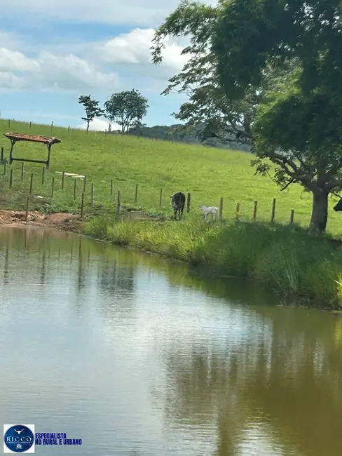 Chácara à venda em Aracu - GO - imagem 1 Foto 1 de Chácara à venda em Aracu - GO