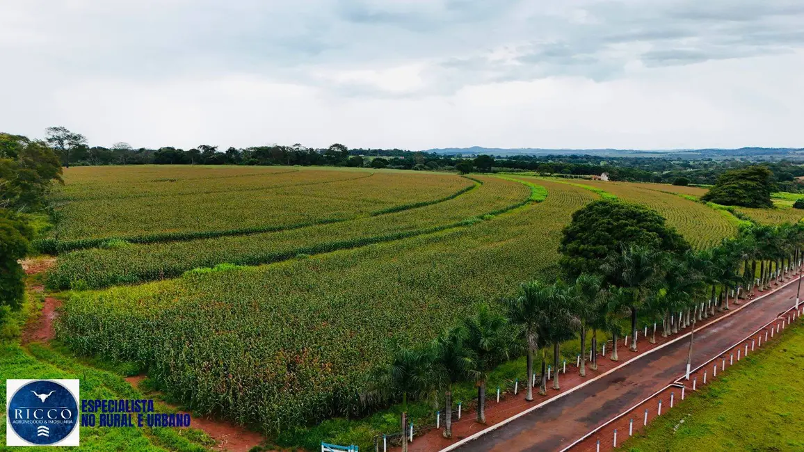 Foto 9 de Chácara com 12 quartos à venda em Goianira - GO