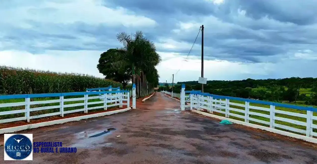 Foto 2 de Chácara com 12 quartos à venda em Goianira - GO