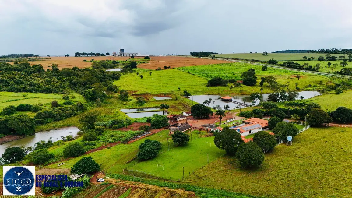 Foto 1 de Chácara com 12 quartos à venda em Goianira - GO