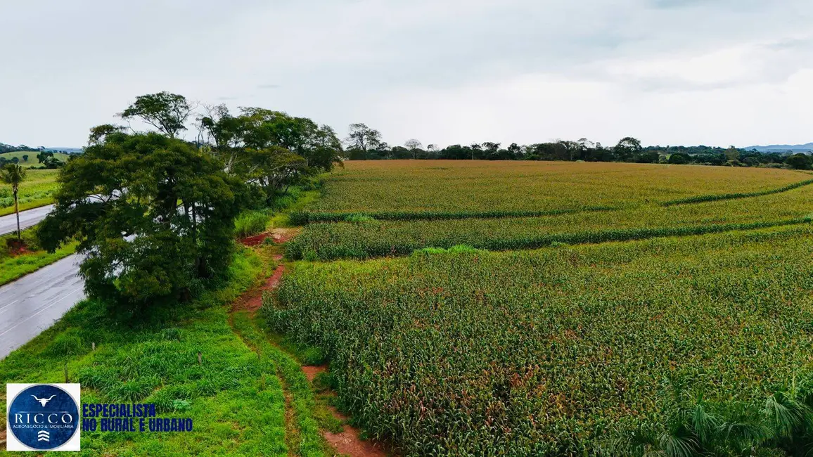 Foto 8 de Chácara com 12 quartos à venda em Goianira - GO