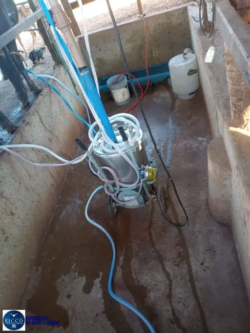 Foto 3 de Chácara à venda em Campestre De Goias - GO