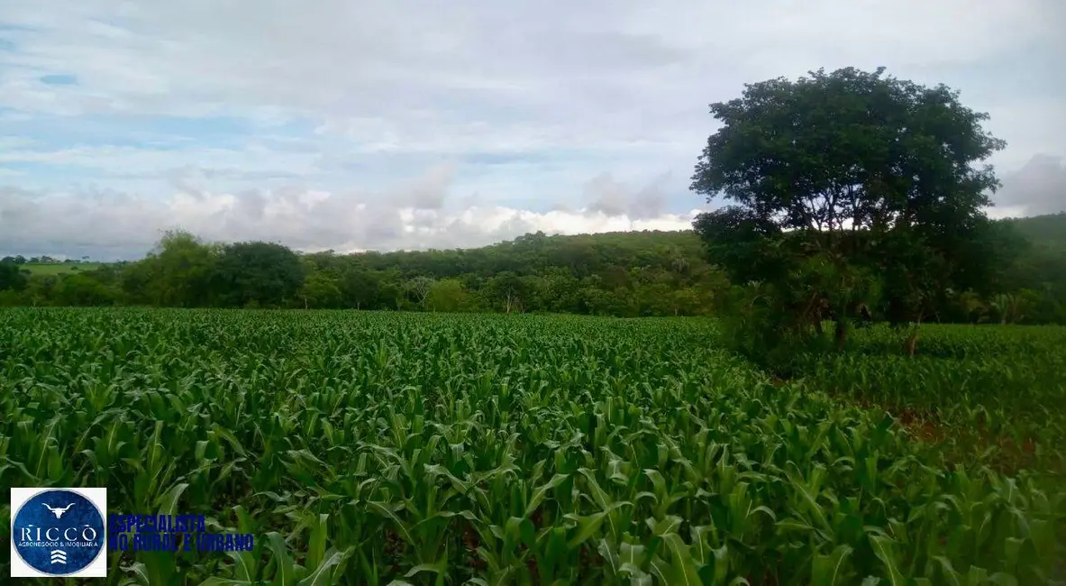 Foto 1 de Chácara à venda em Campestre De Goias - GO