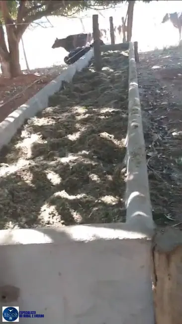 Foto 6 de Chácara à venda em Campestre De Goias - GO