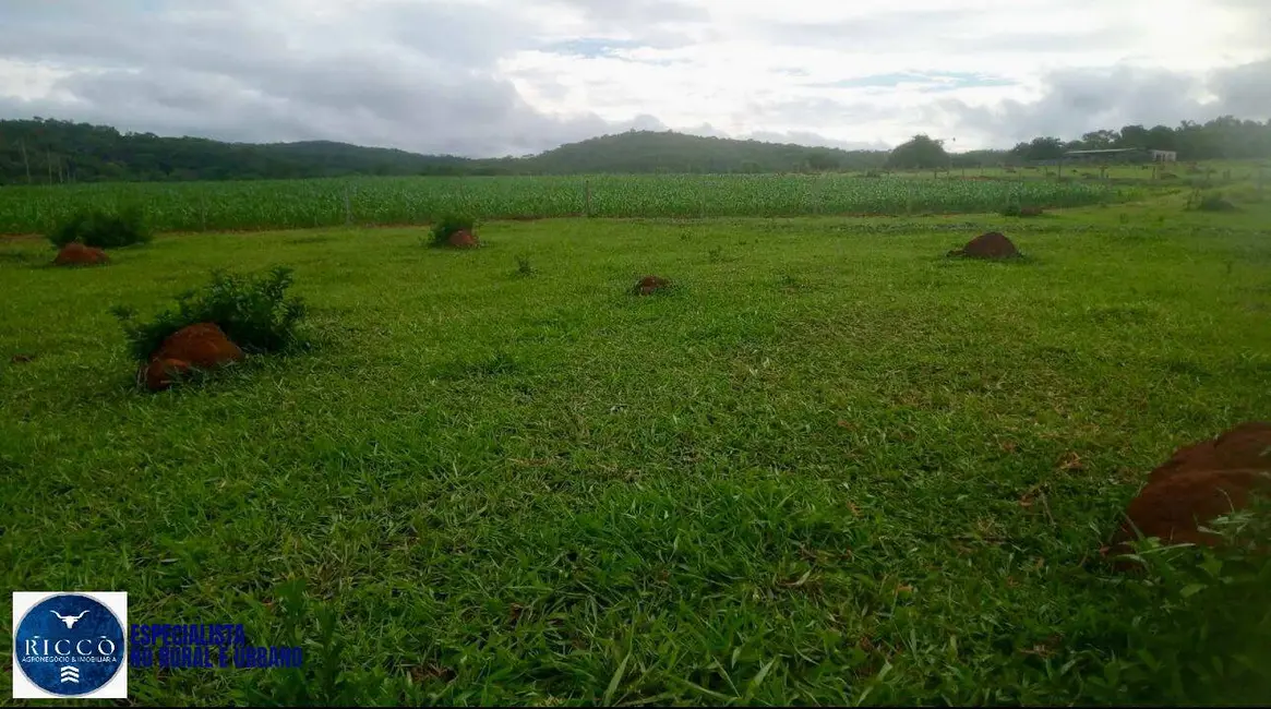 Foto 2 de Chácara à venda em Campestre De Goias - GO