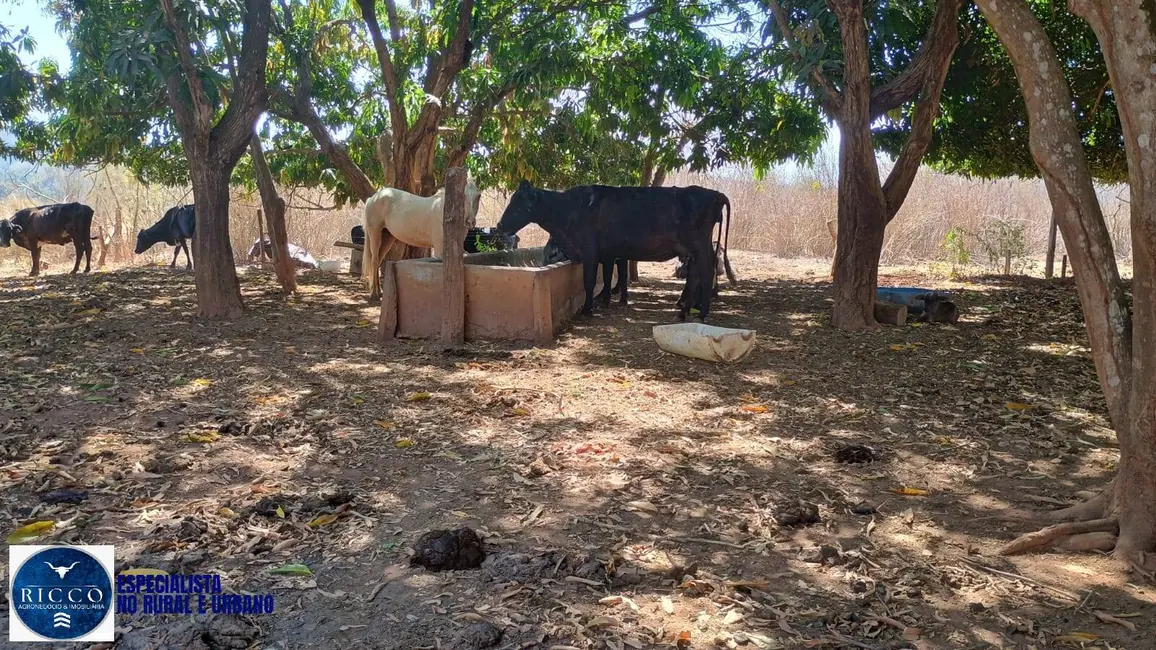 Foto 8 de Chácara à venda em Campestre De Goias - GO