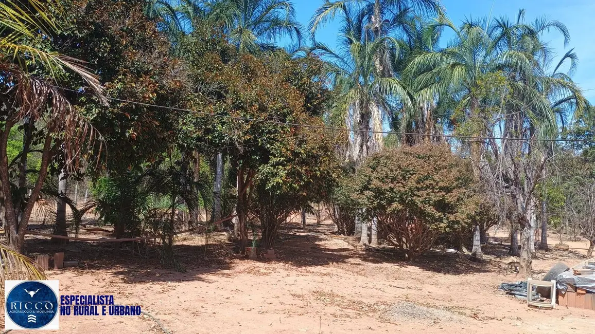 Foto 7 de Chácara à venda em Campestre De Goias - GO