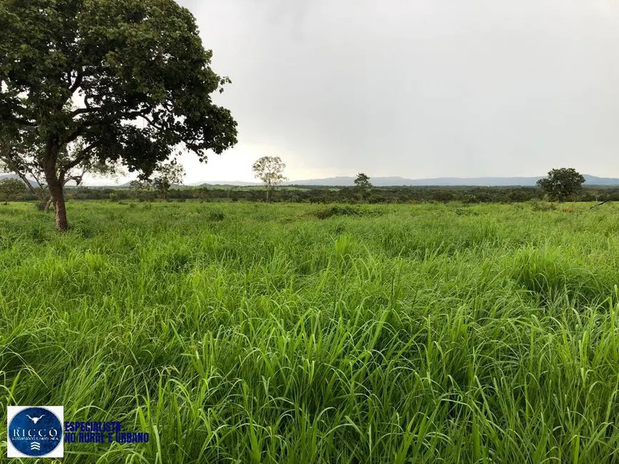 Foto 1 de Fazenda / Haras à venda, 1076m2 em Parana - TO