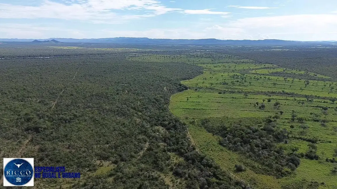 Foto 8 de Fazenda / Haras à venda, 1076m2 em Parana - TO