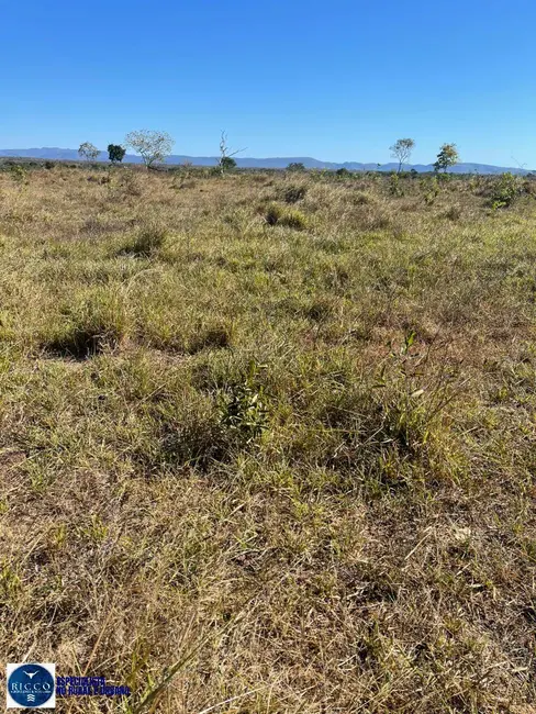 Foto 6 de Fazenda / Haras à venda, 1076m2 em Parana - TO