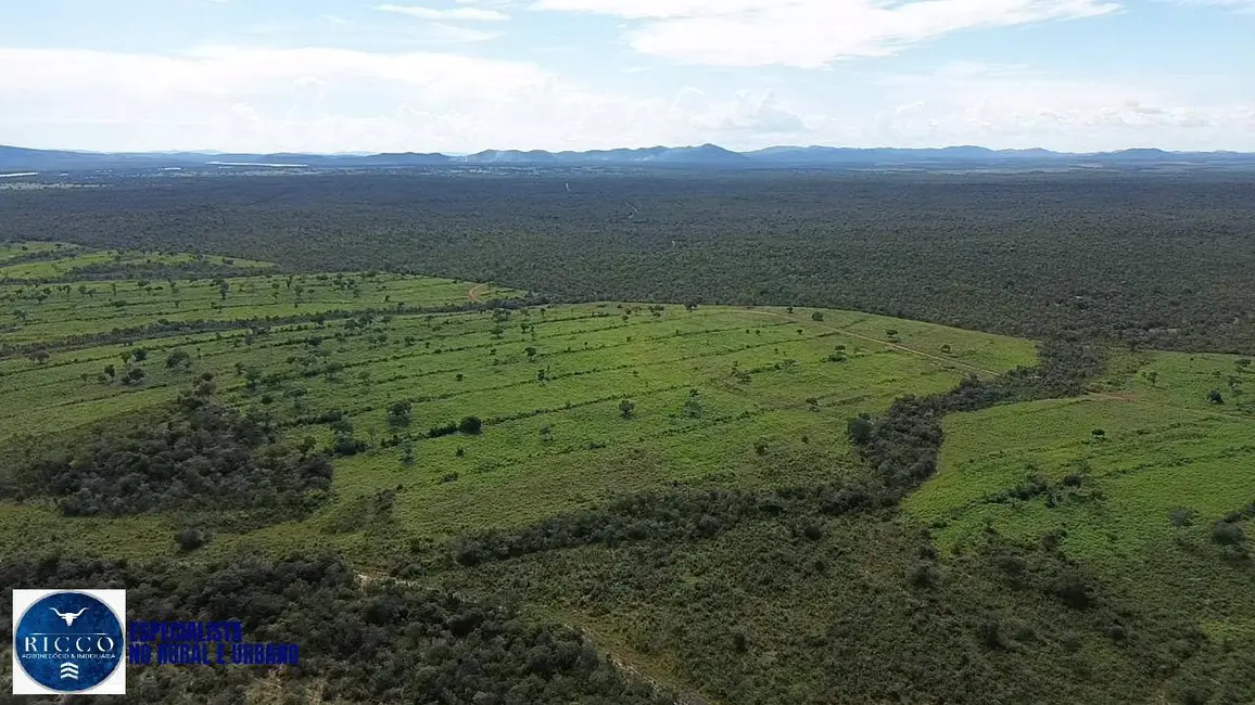 Foto 9 de Fazenda / Haras à venda, 1076m2 em Parana - TO