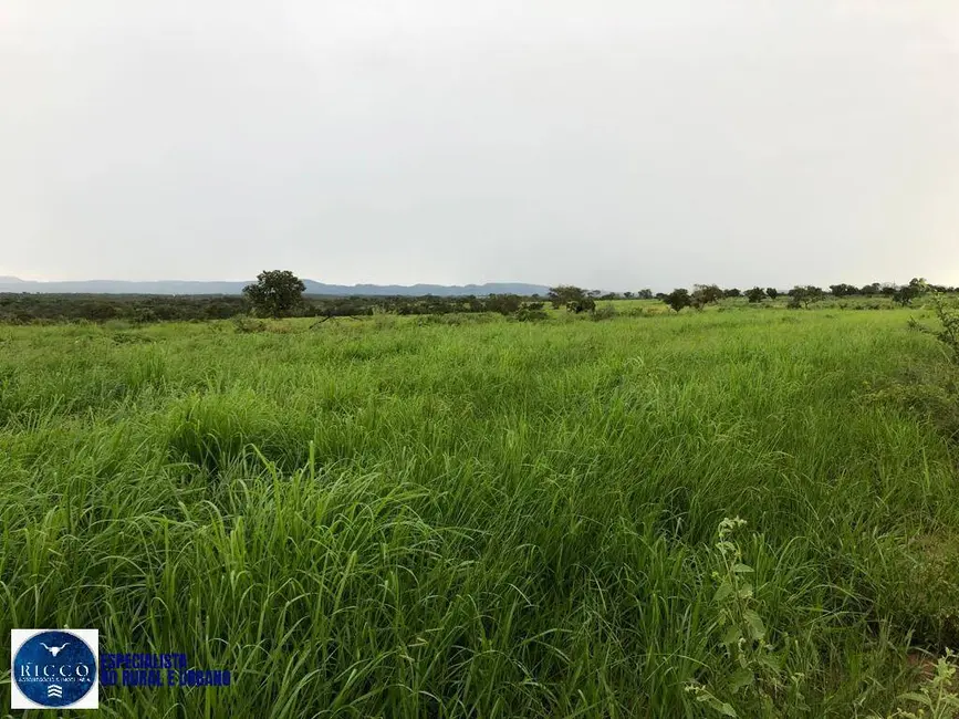 Foto 7 de Fazenda / Haras à venda, 1076m2 em Parana - TO