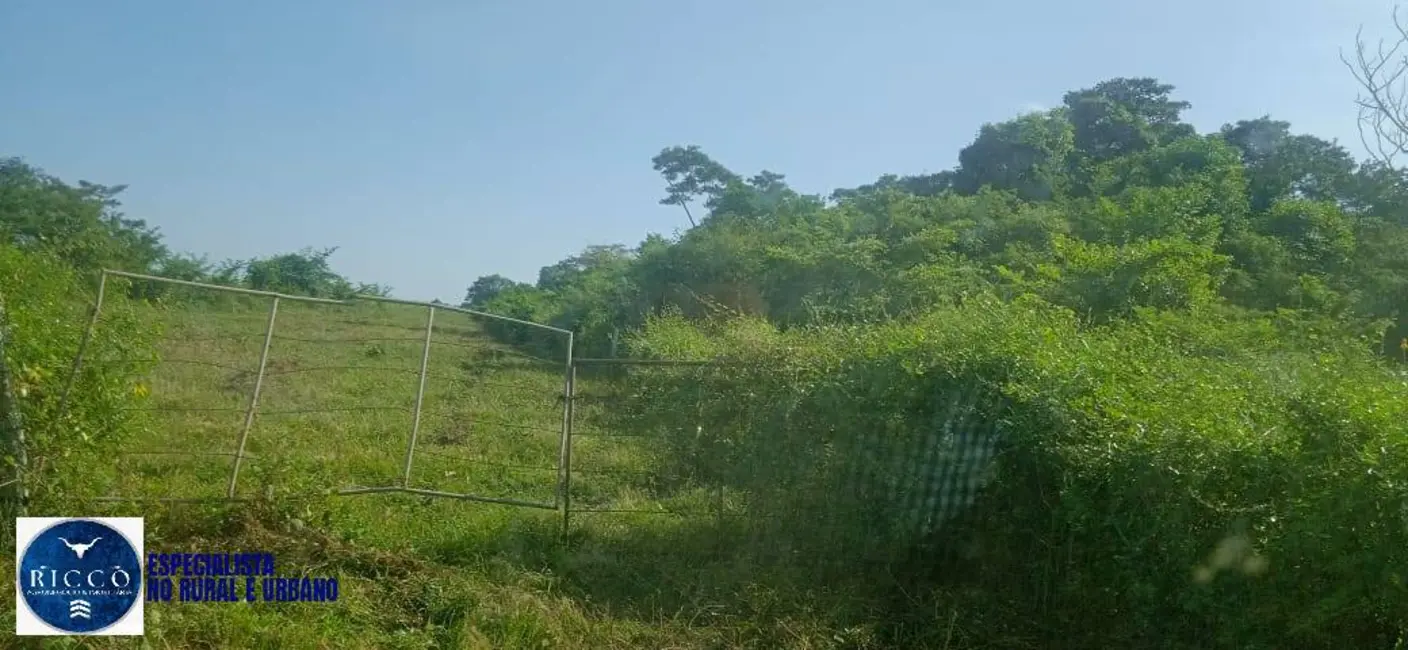 Foto 3 de Fazenda / Haras com 3 quartos à venda, 100m2 em Formoso Do Araguaia - TO
