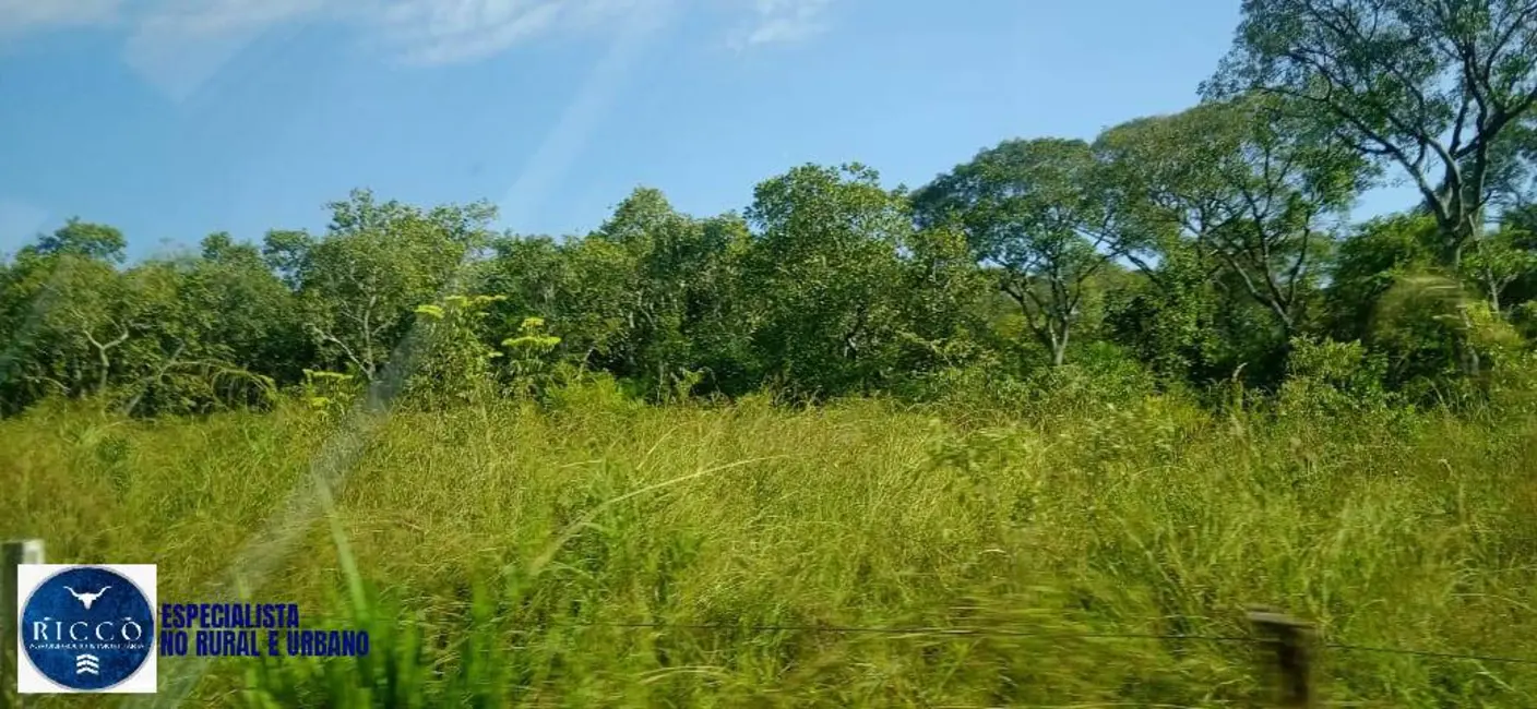 Foto 2 de Fazenda / Haras com 3 quartos à venda, 100m2 em Formoso Do Araguaia - TO