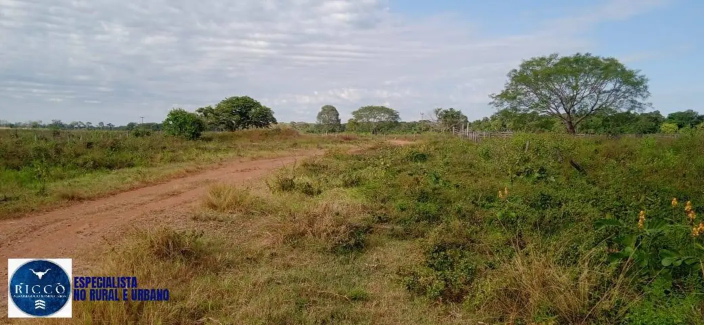 Foto 5 de Fazenda / Haras com 3 quartos à venda, 100m2 em Formoso Do Araguaia - TO