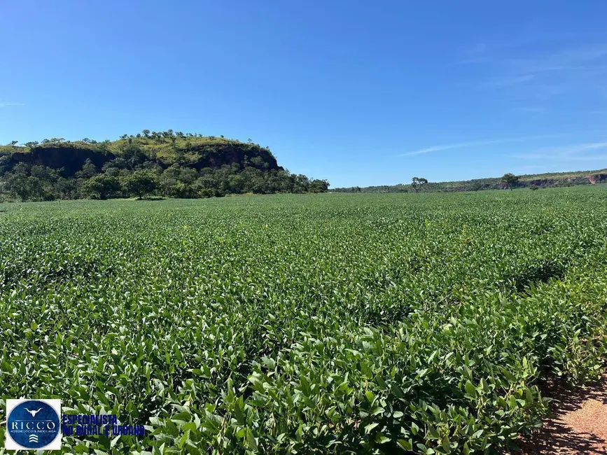 Foto 1 de Fazenda / Haras com 5 quartos à venda, 4446m2 em Novo Acordo - TO