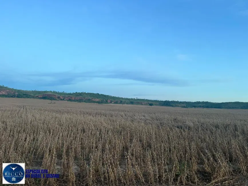Foto 2 de Fazenda / Haras com 5 quartos à venda, 4446m2 em Novo Acordo - TO