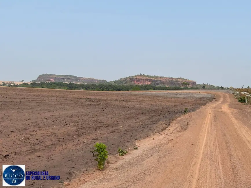 Foto 3 de Fazenda / Haras com 5 quartos à venda, 4446m2 em Novo Acordo - TO