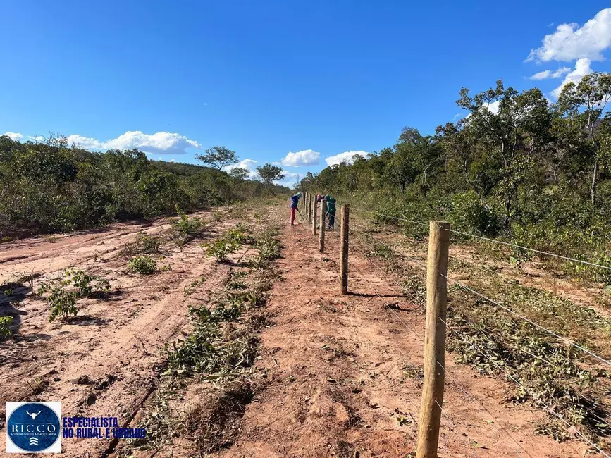 Fazenda / Haras com 6 quartos à venda, 1679m2 em Ponte Alta Do Tocantins - TO - imagem 7 Foto 7 de Fazenda / Haras com 6 quartos à venda, 1679m2 em Ponte Alta Do Tocantins - TO